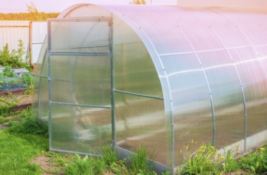 greenhouse gardening