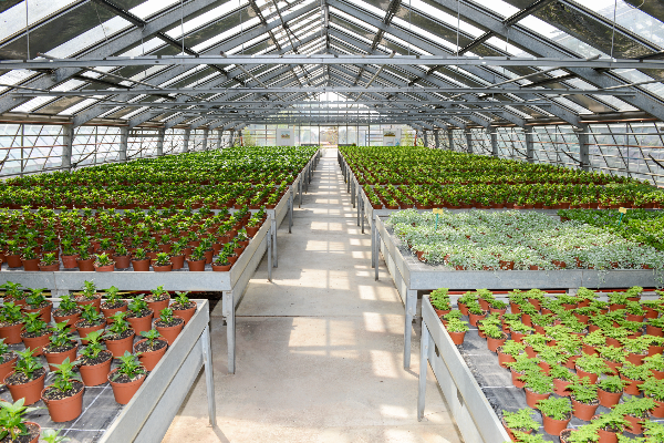 greenhouse tables