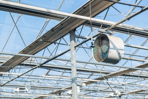 greenhouse ventilation