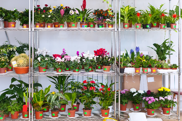 greenhouse shelves