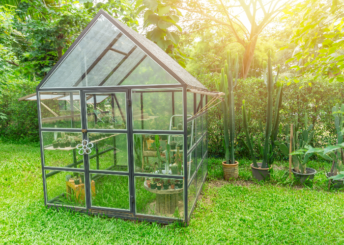 greenhouse gardening