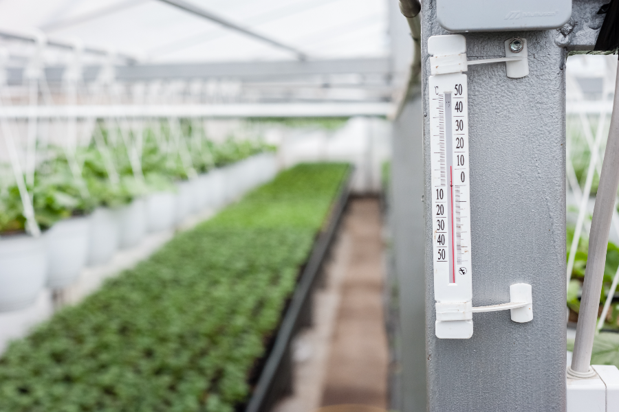 greenhouse must have- thermometer