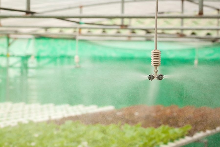 Greenhouse Watering Systems