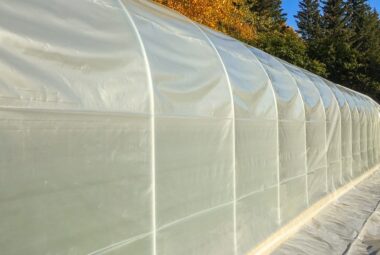 greenhouse insulation