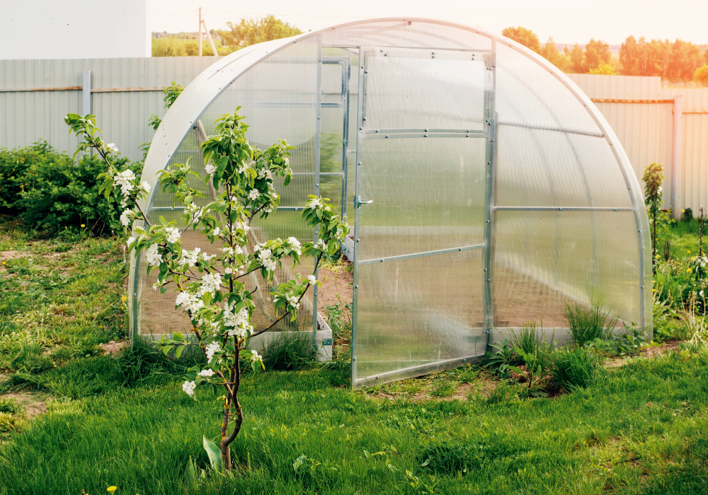 polycarbonate greenhouse