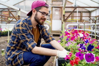 greenhouse maintenance