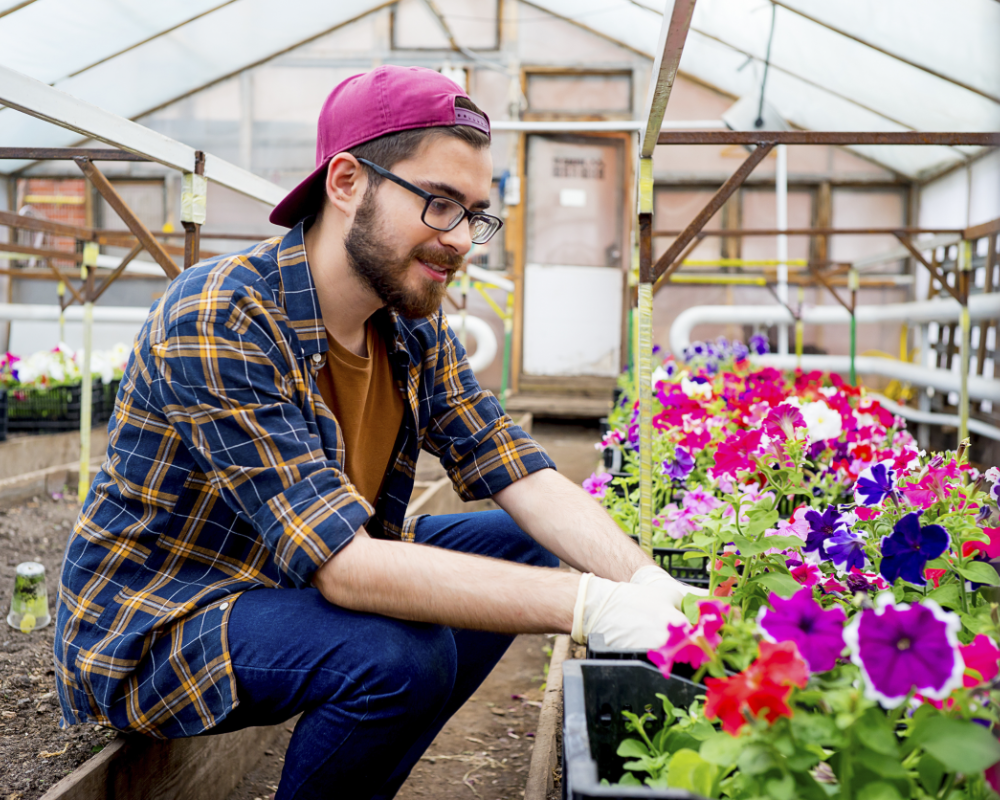 greenhouse maintenance