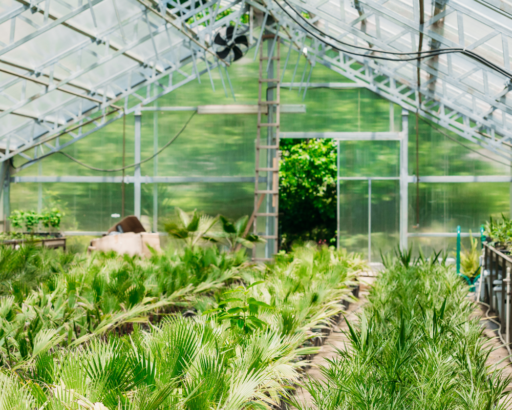 greenhouse humidity