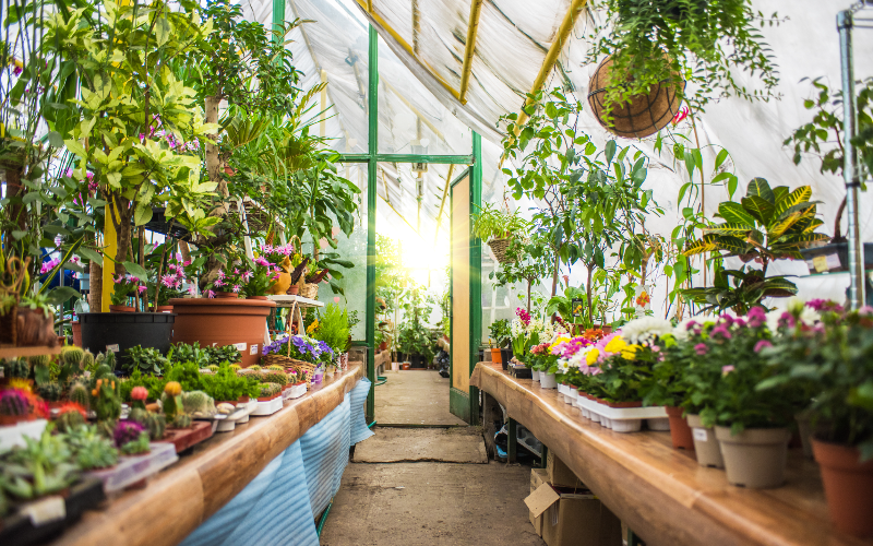 When to Start Planting in Your Greenhouse