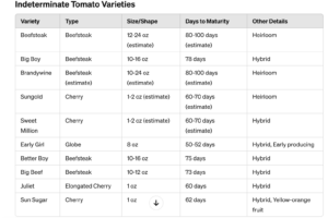 indeterminate tomatoes varieties